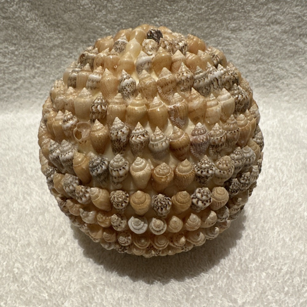 Sea Shell Decorative 4" Ball Sphere Coastal Nautical Beach *Defects" B